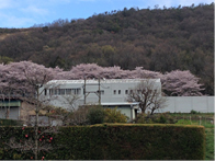 東海シルク本社